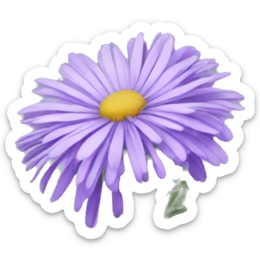 Aster sticker