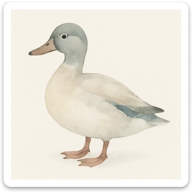 lifelike realistic duck in watercolor art style sticker