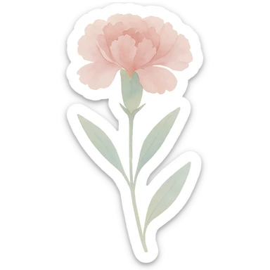 carnation with stem and leaves, luminous colors, gentle blending, realistic botanical illustration sticker