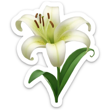 Lily flower  sticker