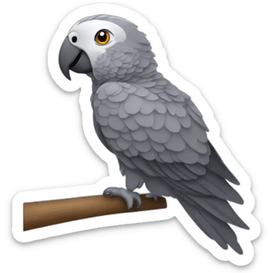 african gray parrot sticker