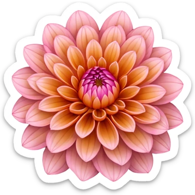 orange-pink dahlia sticker