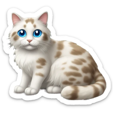 A ragdol cat with blue eyes is sitting on the windowsill sticker