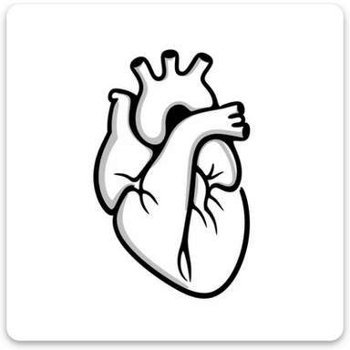A heart drawn with hand-drawn lines, anatomical heart with chambers and arteries, medical diagram style with detailed internal structure sticker