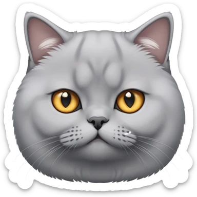 Silver british shorthair cat sticker