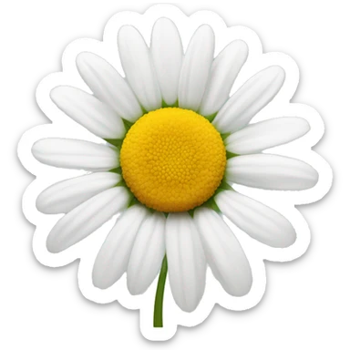 daisy flower sticker