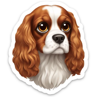 Cavalier King Charles Spaniel sticker
