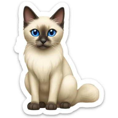 Balinese cat  sticker
