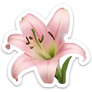 light pink lilium sticker
