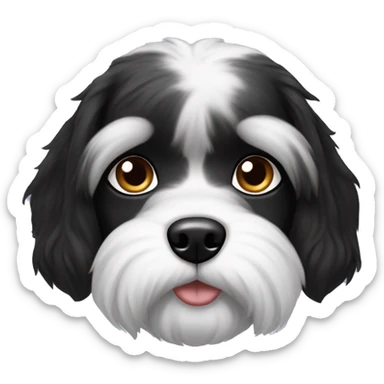 Shitzhu dog female black and white sticker