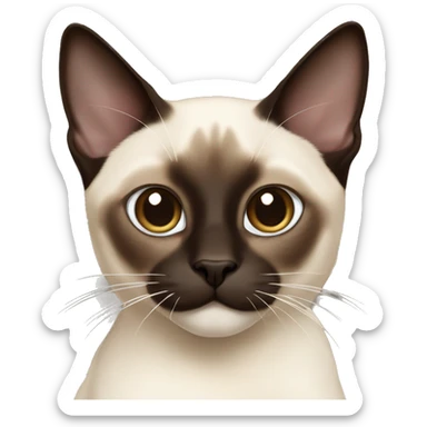 Snowshoe Siamese cat with one side of his face dark brown and other cream sticker