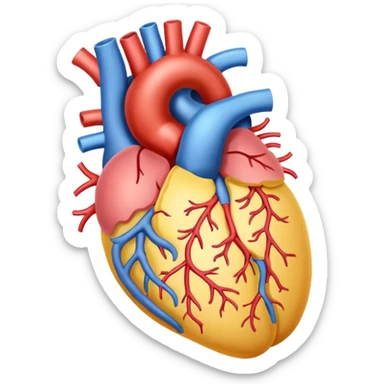 gastrointestinal anatomy sticker