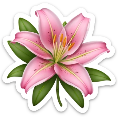 Pink lily  sticker