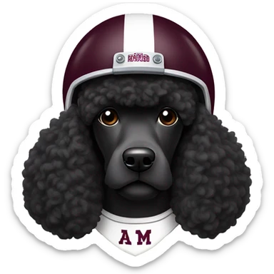 Black poodle wearing Texas A&M football helmet sticker