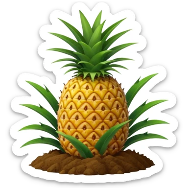 pineapple plant with ground sticker