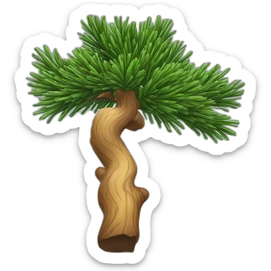 swiss stone pine branch sticker