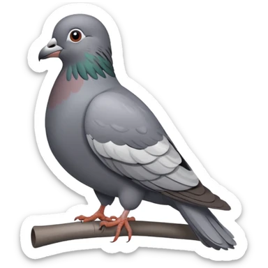 pigeon sticker