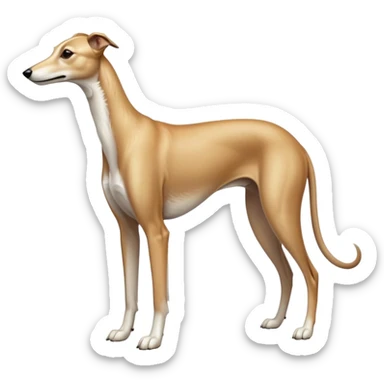 cinematic-[fawn greyhound]-realistic-full-body-standing-emoji,-tail-resting-loosely-beside-its-paws,-head-tilted-dramatically, -sleek-[light fawn]-fur,-simplified-yet-realistic-focused-features,-highly-detailed,-glowing-with-an-almost-sarcastic-glow sticker