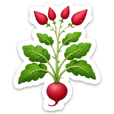 radish plant sticker