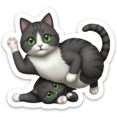 solid dark grey cat with green eyes, white toes/paws and white patch on her chest playfully rolling upside down sticker