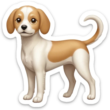 a full body white beagle x maltese x chi dog the size of a kelpie with light brown ears and a light brown patch on one eye sticker