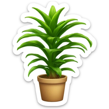 dracaena houseplant sticker