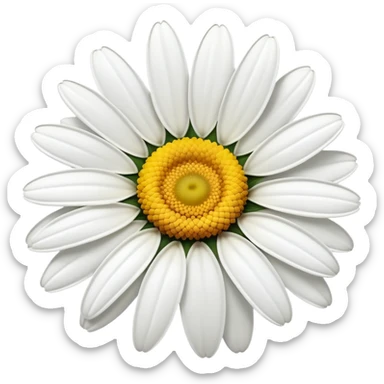 vibrant daisy flower with yellow center sticker