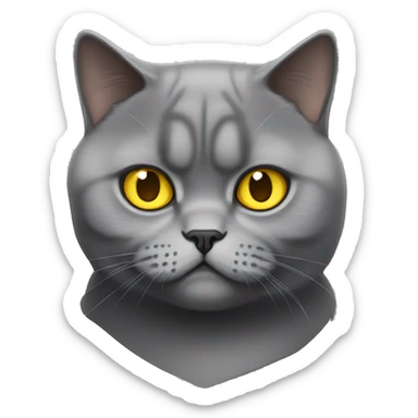 British shorthair looking mad with yellow eyes sticker