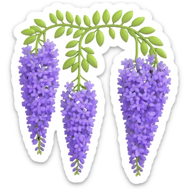 Detailed wisteria blossom with hanging clusters of lavender flowers in pendulous racemes and delicate green foliage sticker