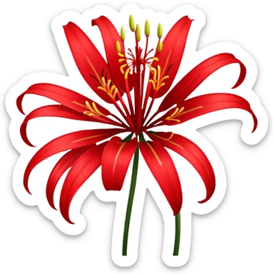 Red spider Lily flower sticker
