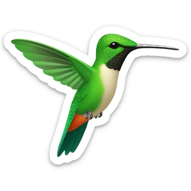 colibri sticker