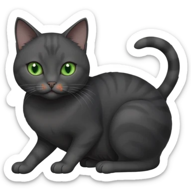 beautiful female solid dark grey cat with green eyes, white toes/paws and white patch on her chest rolling over sticker
