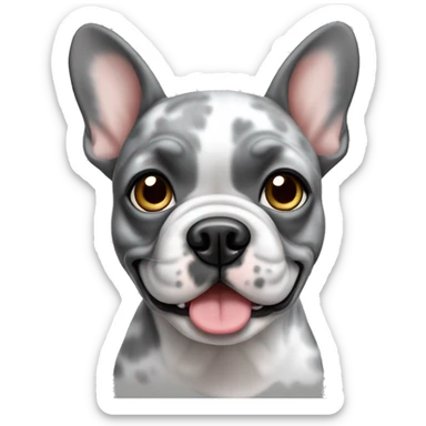 Gray Merle female French bulldog sticker