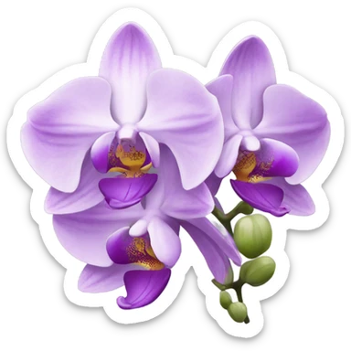 light purple orchids  sticker