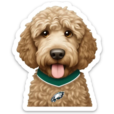 Light brown Labradoodle wearing a Philadelphia eagles jersey sticker