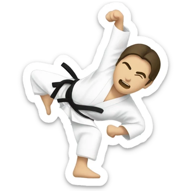 aikido technique sticker