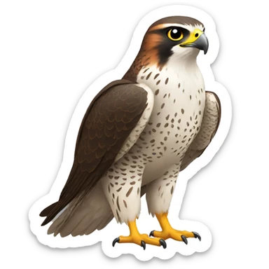 falcon sticker