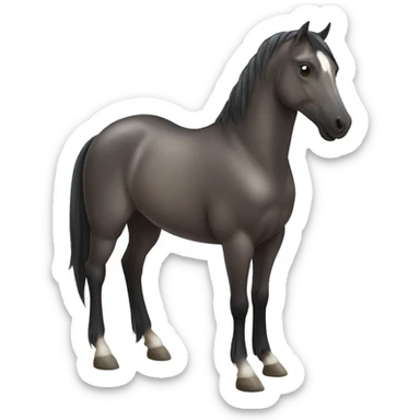 Seal bay horse sticker