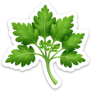 Apple style 3D emoji of fresh parsley, small green leaves with curly texture, shiny and smooth, simple toy-like look, similar to official Apple food emojis. sticker