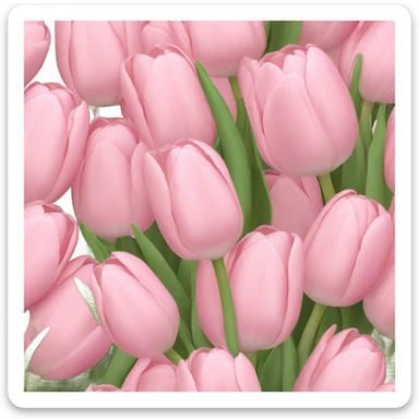Pale pink bouquet of tulips sticker