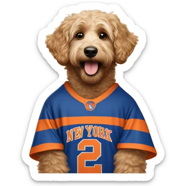 Aussiepoo wearing New York Knicks jersey sticker