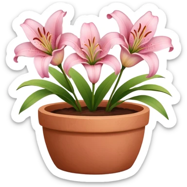 light pink lily flowers in a clay pot sticker