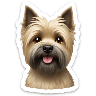 Cairn terrier with shitzu sticker