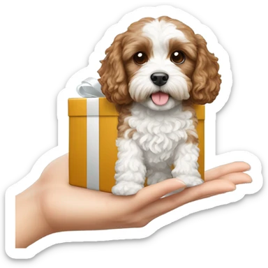 Brown and white cavapoo and gift box sticker