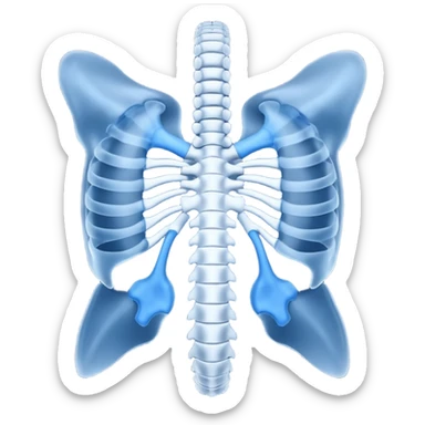 3D render of Spine X-Ray, X-Ray imaging aesthetic, translucent materials showing internal structure, vertebrae column in classic deep blue x-ray style, medical scan style, emoji style, isolated on white background --v 6.0. sticker