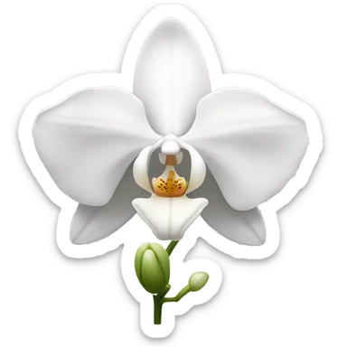 Single white orchid  sticker