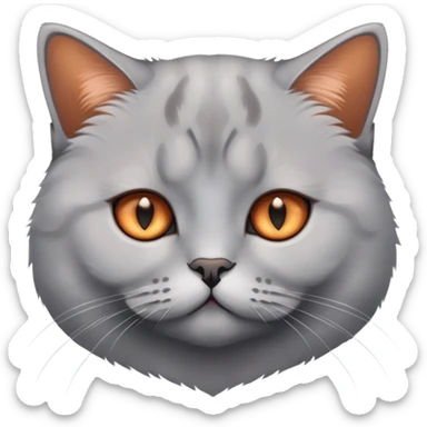 British shorthair silver gradient cat with copper eyes and dense coat sticker