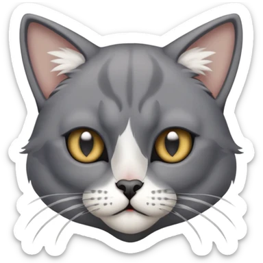 Grey skinny cat with white paws and a pirate eye patch on his right eye sticker