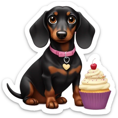 Black and brown daschund eating a cupcake  sticker