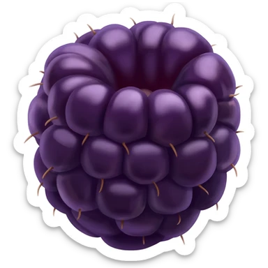 Single Blackberry sticker